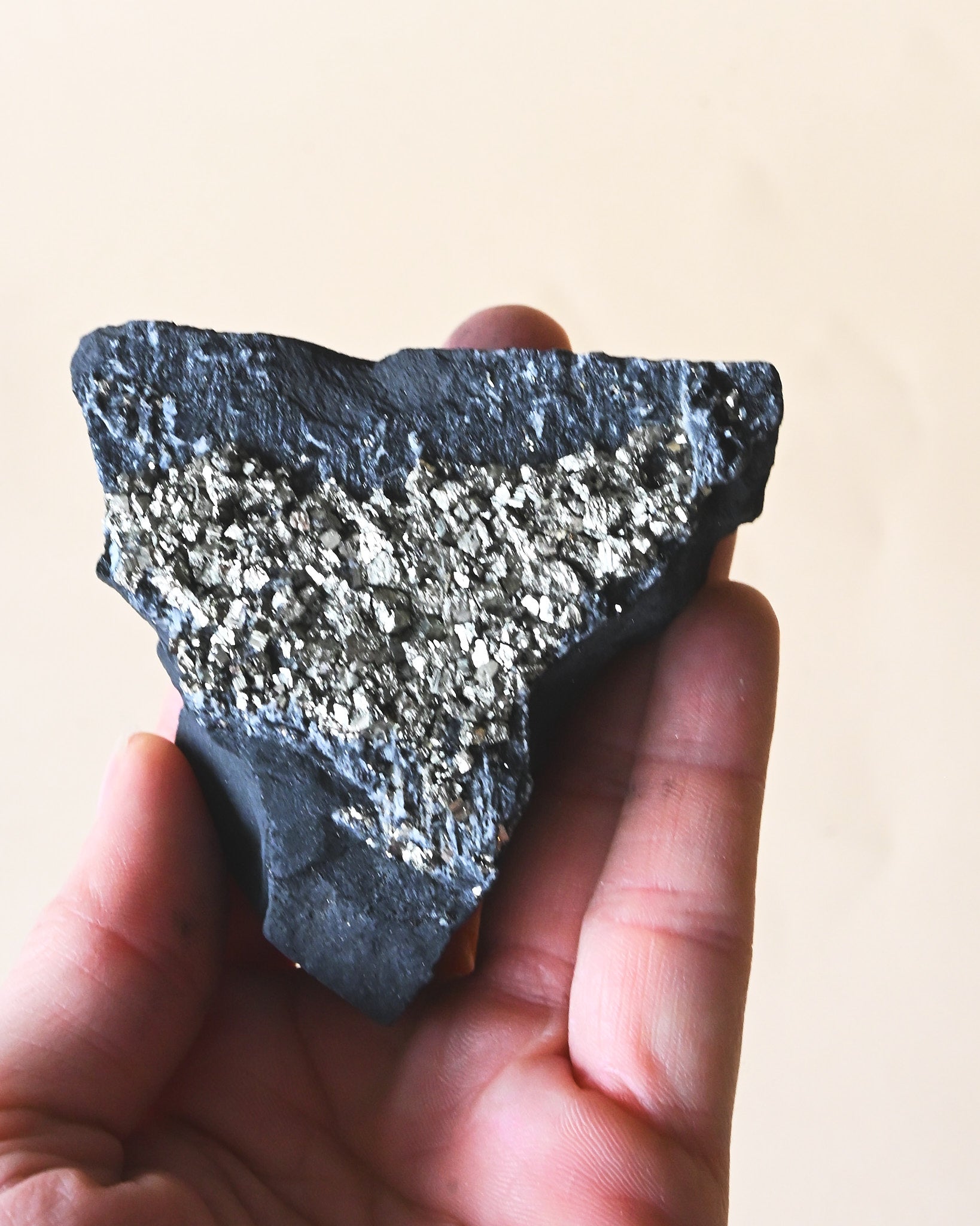 Shungite with Pyrite Rough Specimen