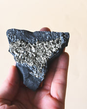 Shungite with Pyrite Rough Specimen