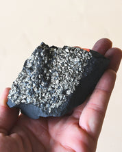 Shungite with Pyrite Rough Specimen