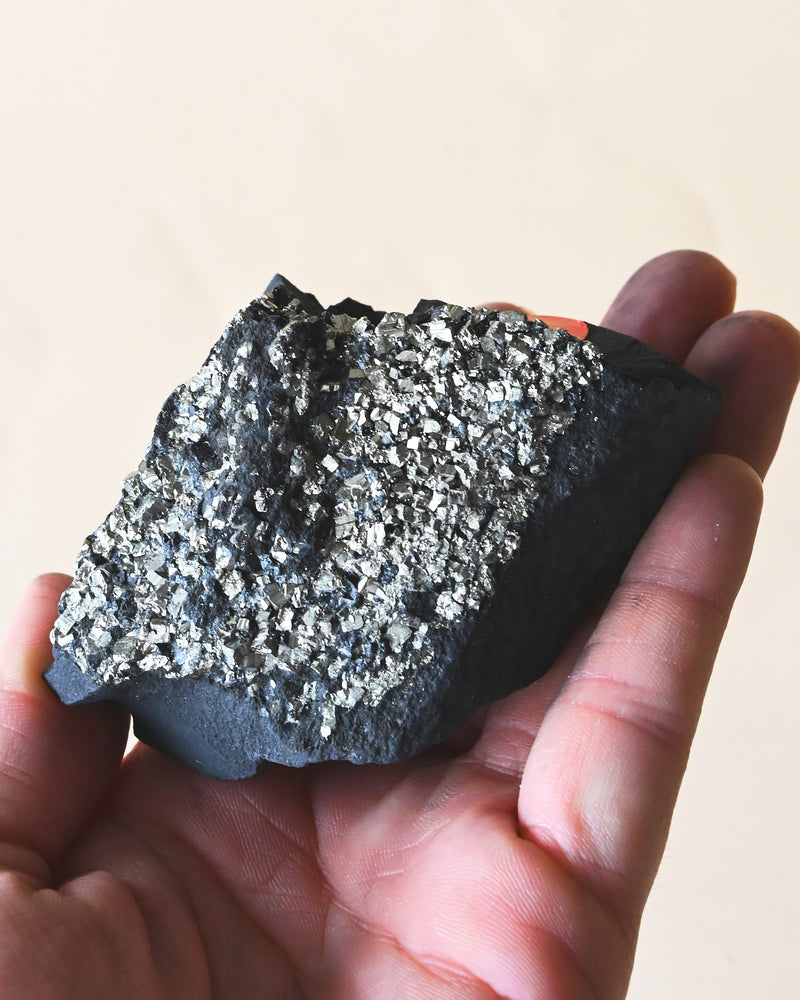 Shungite with Pyrite Rough Specimen