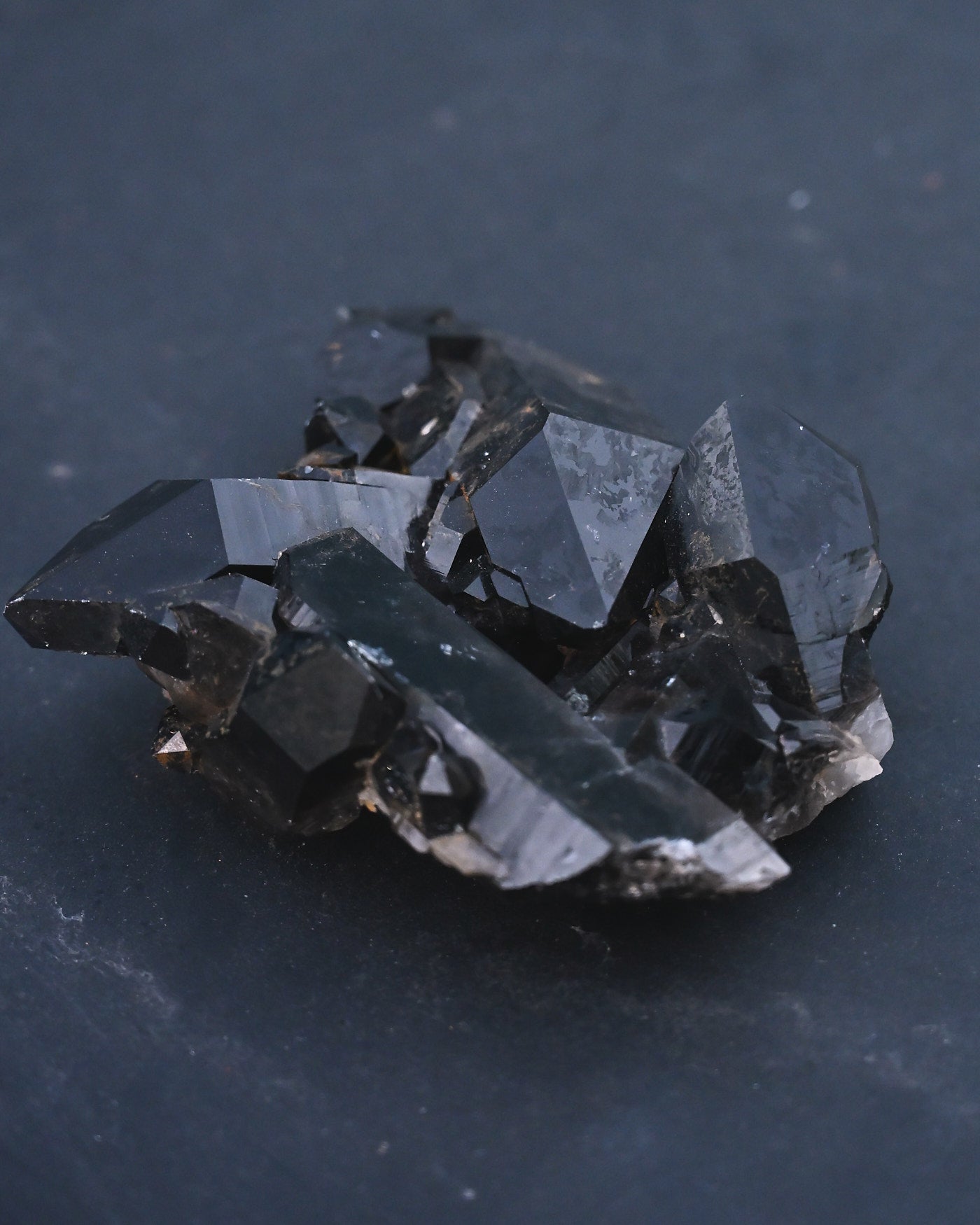 Arkansas Smoky Quartz Cluster scale view