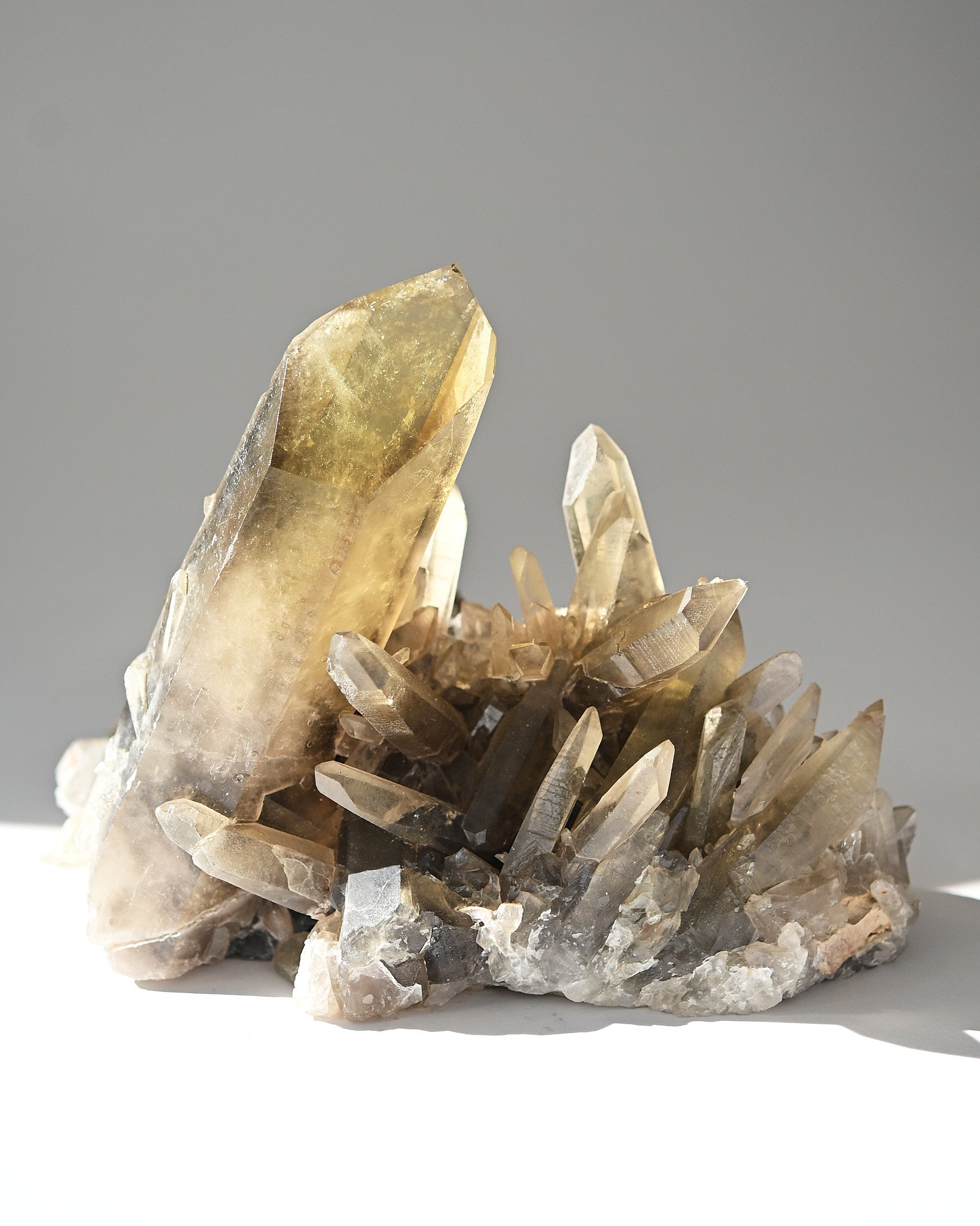 Rare Smoky Citrine Lemurian Cluster 7lb