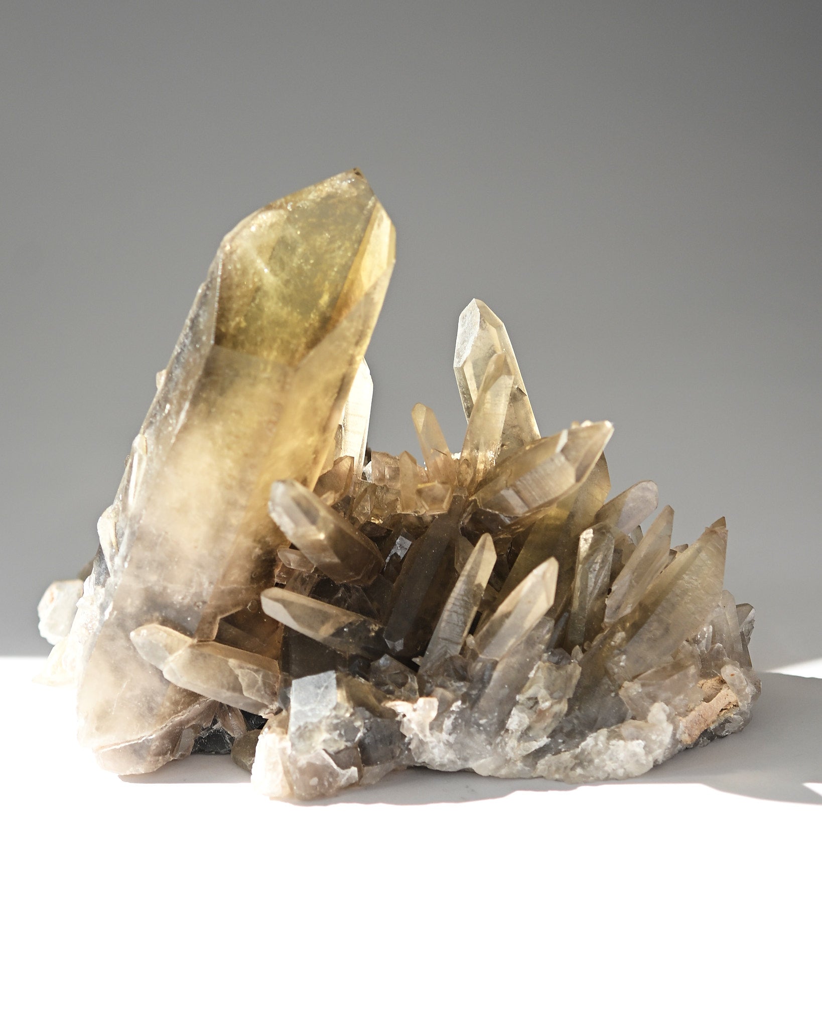 Rare Smoky Citrine Lemurian Cluster 7lb