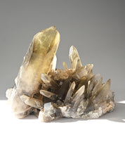 Rare Smoky Citrine Lemurian Cluster 7lb