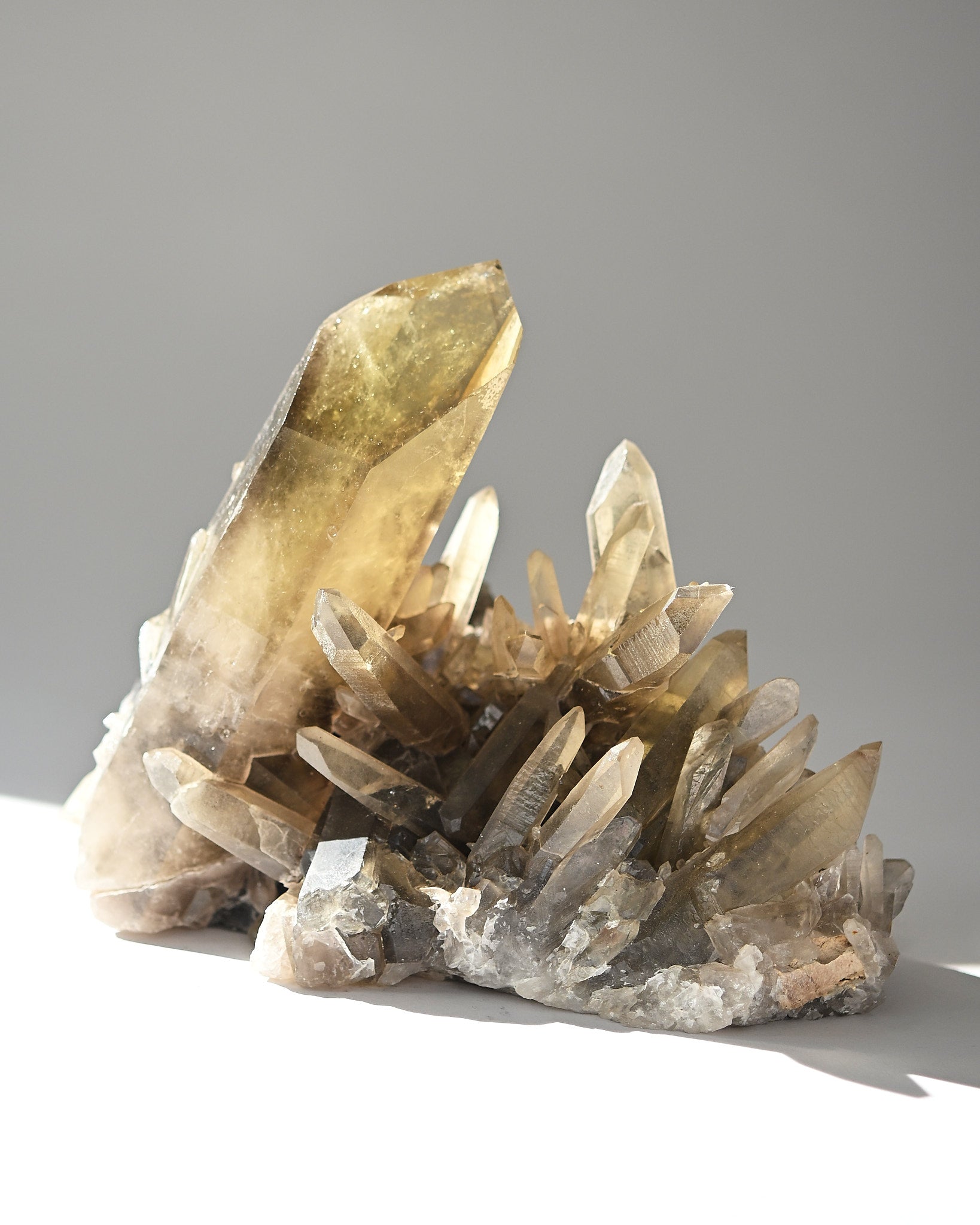 Rare Smoky Citrine Lemurian Cluster 7lb