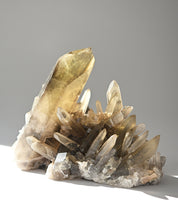 Rare Smoky Citrine Lemurian Cluster 7lb