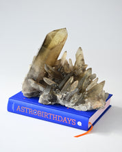 Rare Smoky Citrine Lemurian Cluster 7lb