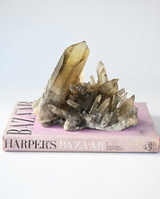 Rare Smoky Citrine Lemurian Cluster 7lb