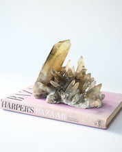 Rare Smoky Citrine Lemurian Cluster 7lb