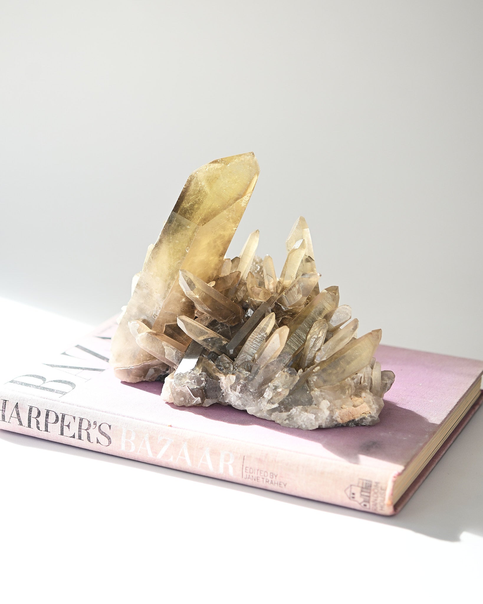 Rare Smoky Citrine Lemurian Cluster 7lb