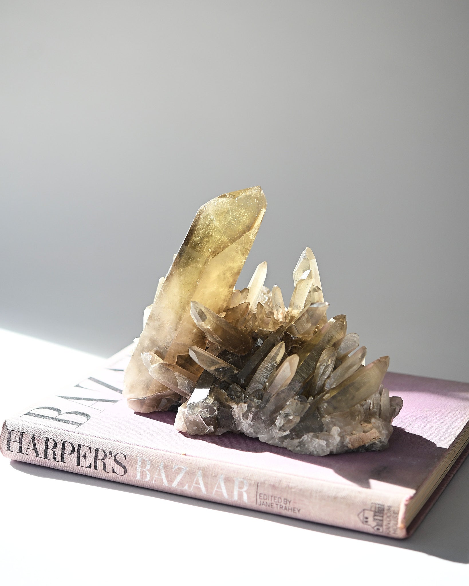 Rare Smoky Citrine Lemurian Cluster 7lb