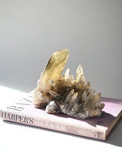 Rare Smoky Citrine Lemurian Cluster 7lb