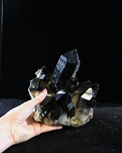 Arkansas Smoky Quartz Cluster 8.6 lbs — 8x6x6 in