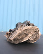 Arkansas Smoky Quartz Cluster 3.5 lbs