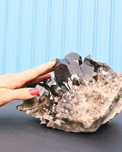 Arkansas Smoky Quartz Cluster 3.5 lb - angle view