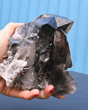 Arkansas Smoky Quartz Cluster 2.7 lb
