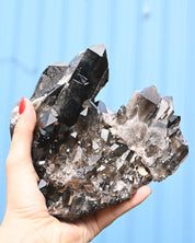 Smoky Quartz 4.030 lb 6x5x4