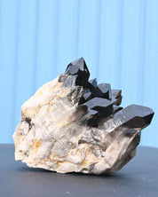 Smoky Quartz 6.855 lb 7x6x5