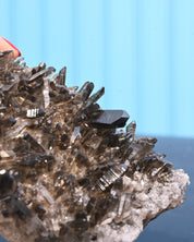 Smoky Quartz 0.570 lb 4x3x2