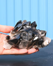 Smoky Quartz Rehealed Crystal 0.865 lb 4x3x2