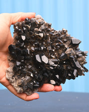 Smoky Quartz 1.250 lb 5x4x2