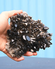 Smoky Quartz 1.250 lb 5x4x2