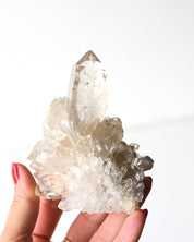 Smoky Quartz Cluster 248g