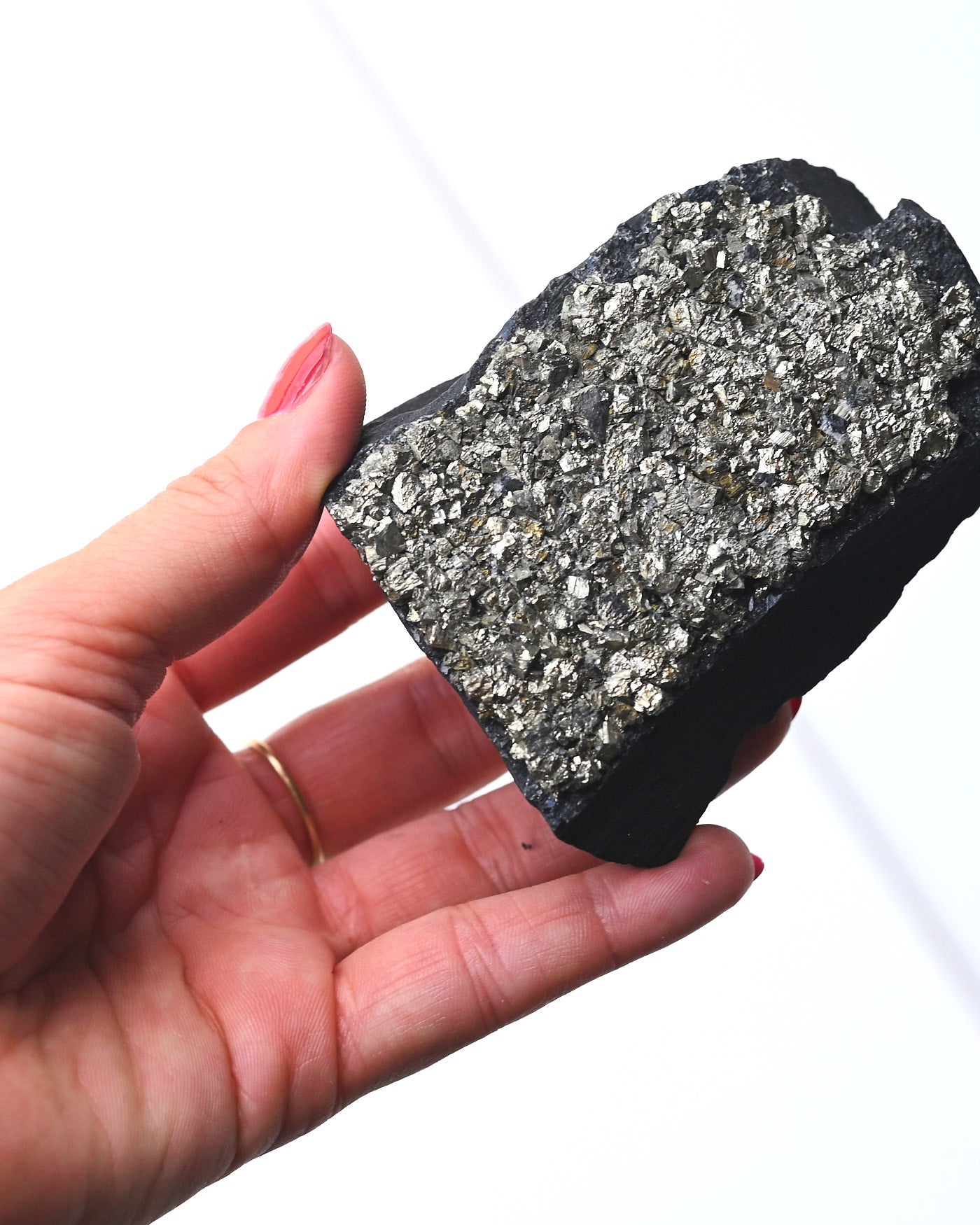 Shungite with Pyrite Rough Specimen