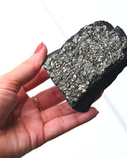 Shungite with Pyrite Rough Specimen