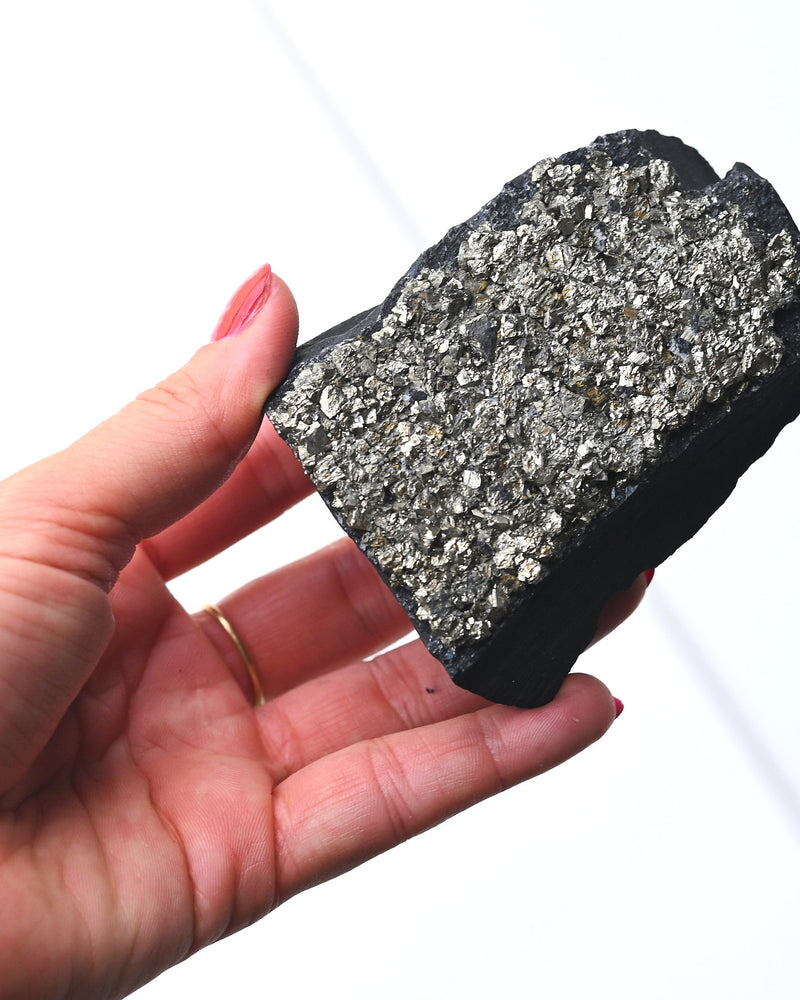 Shungite with Pyrite Rough Specimen