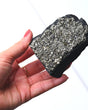 Shungite with Pyrite Rough Specimen