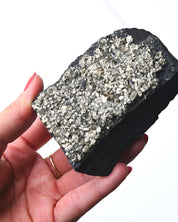 Shungite with Pyrite Rough Specimen