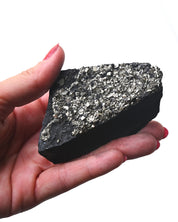 Shungite with Pyrite Rough Specimen