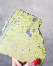 Stichtite in Serpentine Slab | Australia