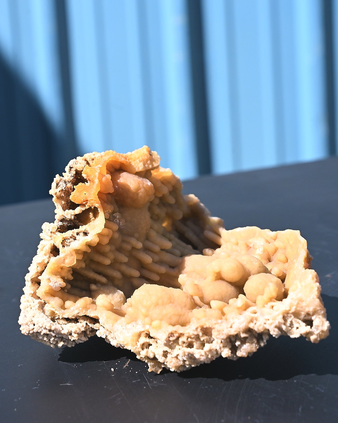tampa-bay--agate-coral--1.1lb--6x5x4--_100sell--7583.jpg