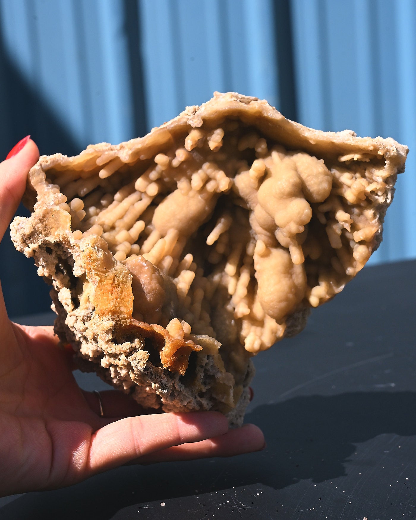 tampa-bay--agate-coral--1.1lb--6x5x4--_100sell--7585.jpg