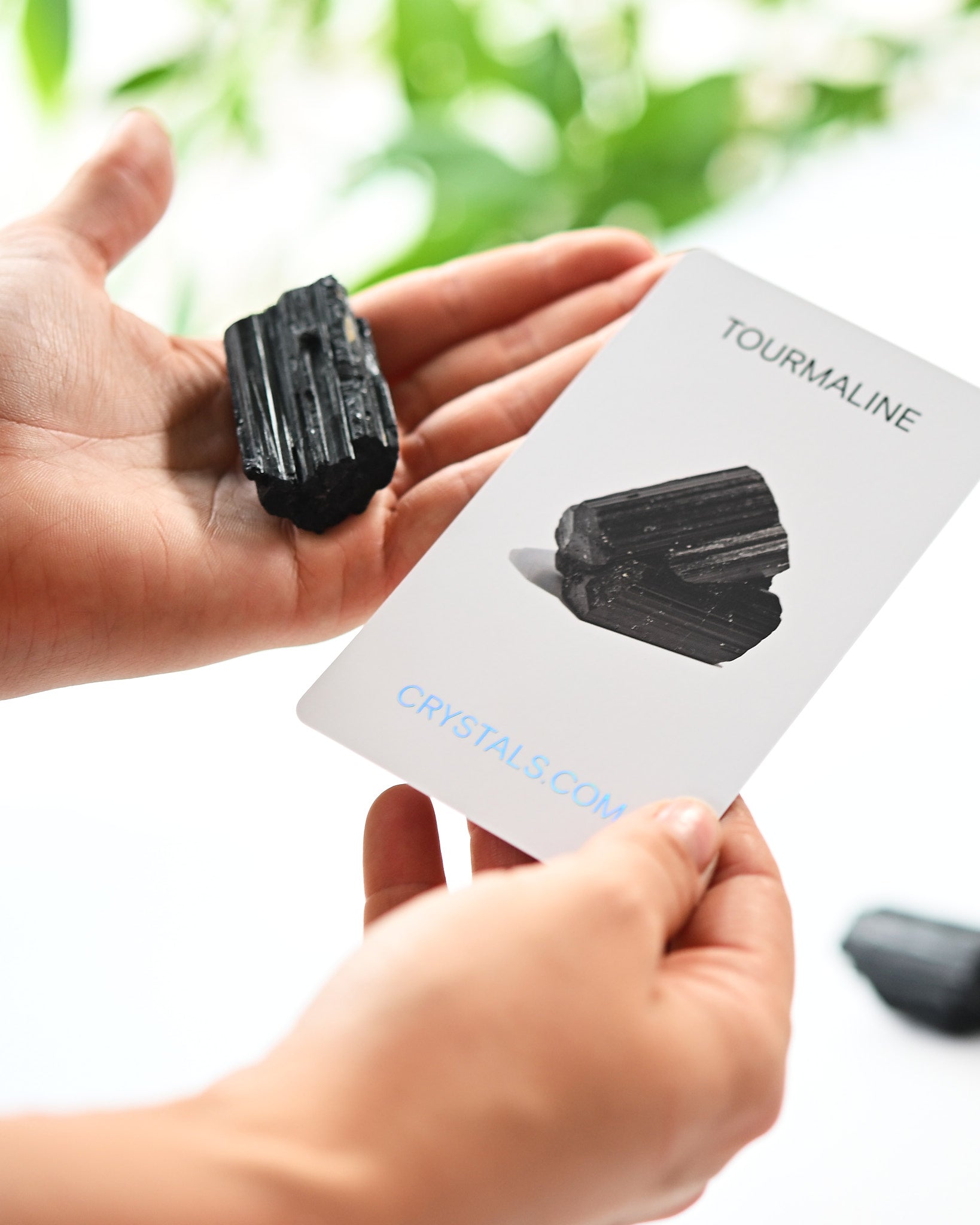 Black Tourmaline Rough - Protect