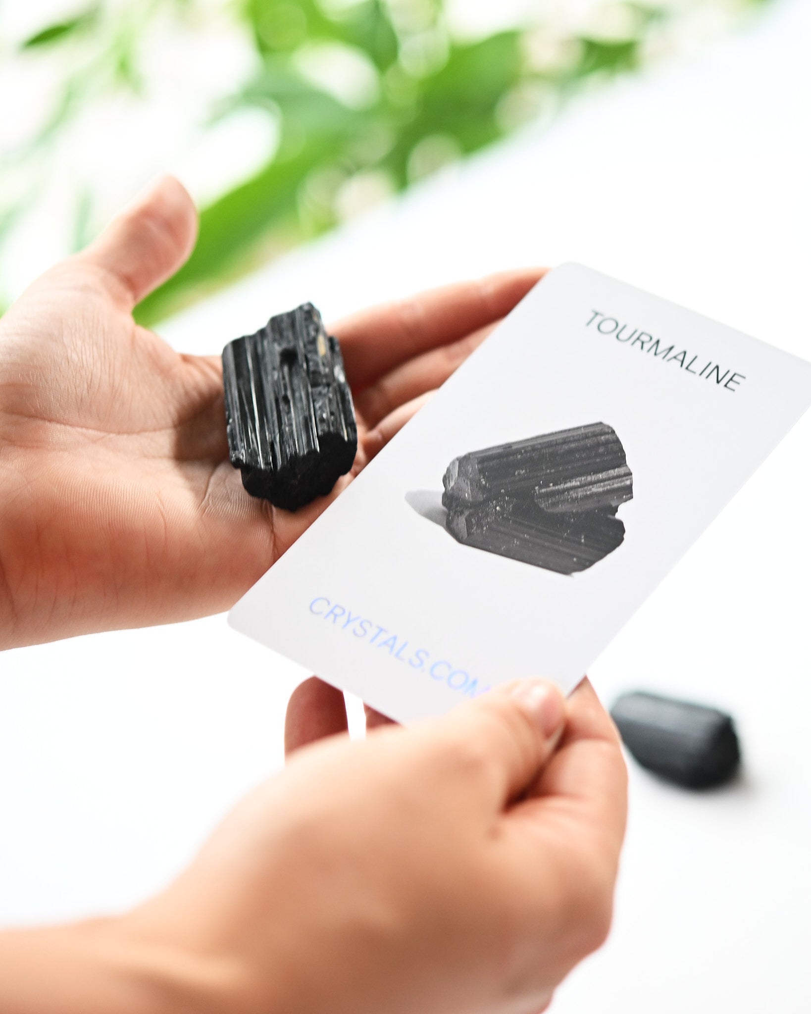 Black Tourmaline Rough - Protect
