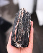 Black Tourmaline with Mica Cluster, Brazil