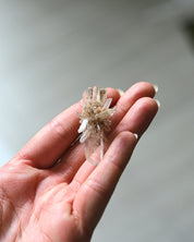 Mini Gypsum Cluster