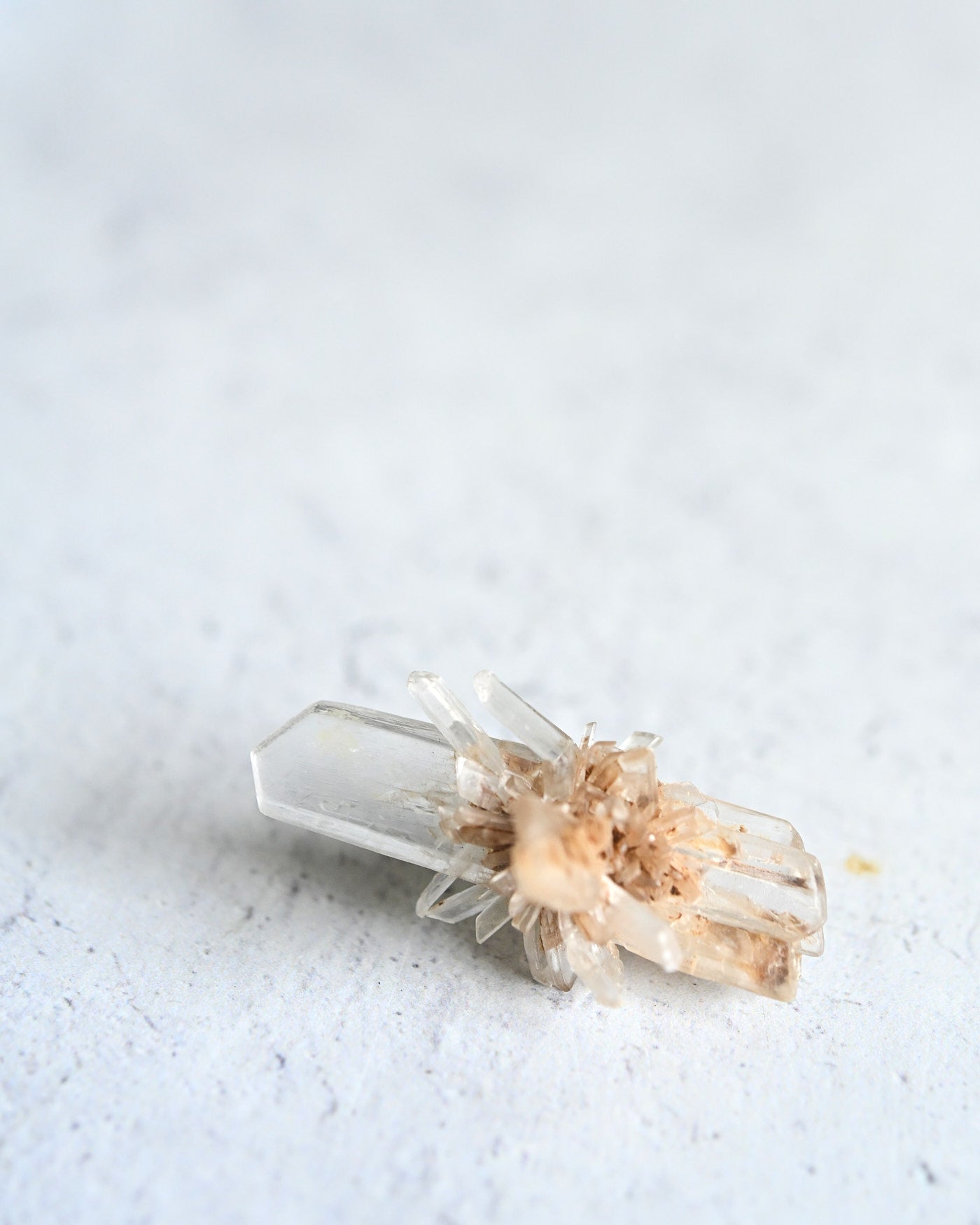 trapiche--sm--0672.jpg