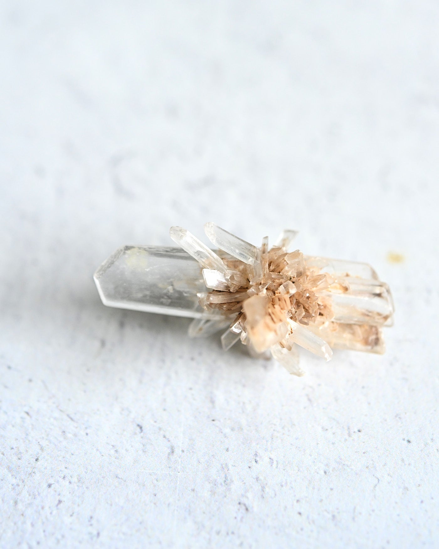 trapiche--sm--0674.jpg
