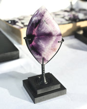 Trapiche Amethyst on Stand Brazil