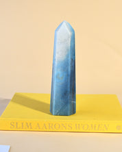 Trolleite Tower 2.8lbs