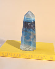 Trolleite Tower 4.2lbs