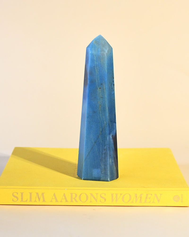 Trolleite Tower 2.3lbs