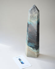 Statement Trolleite Tower 6lbs 13in
