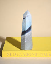 Trolleite tower side view