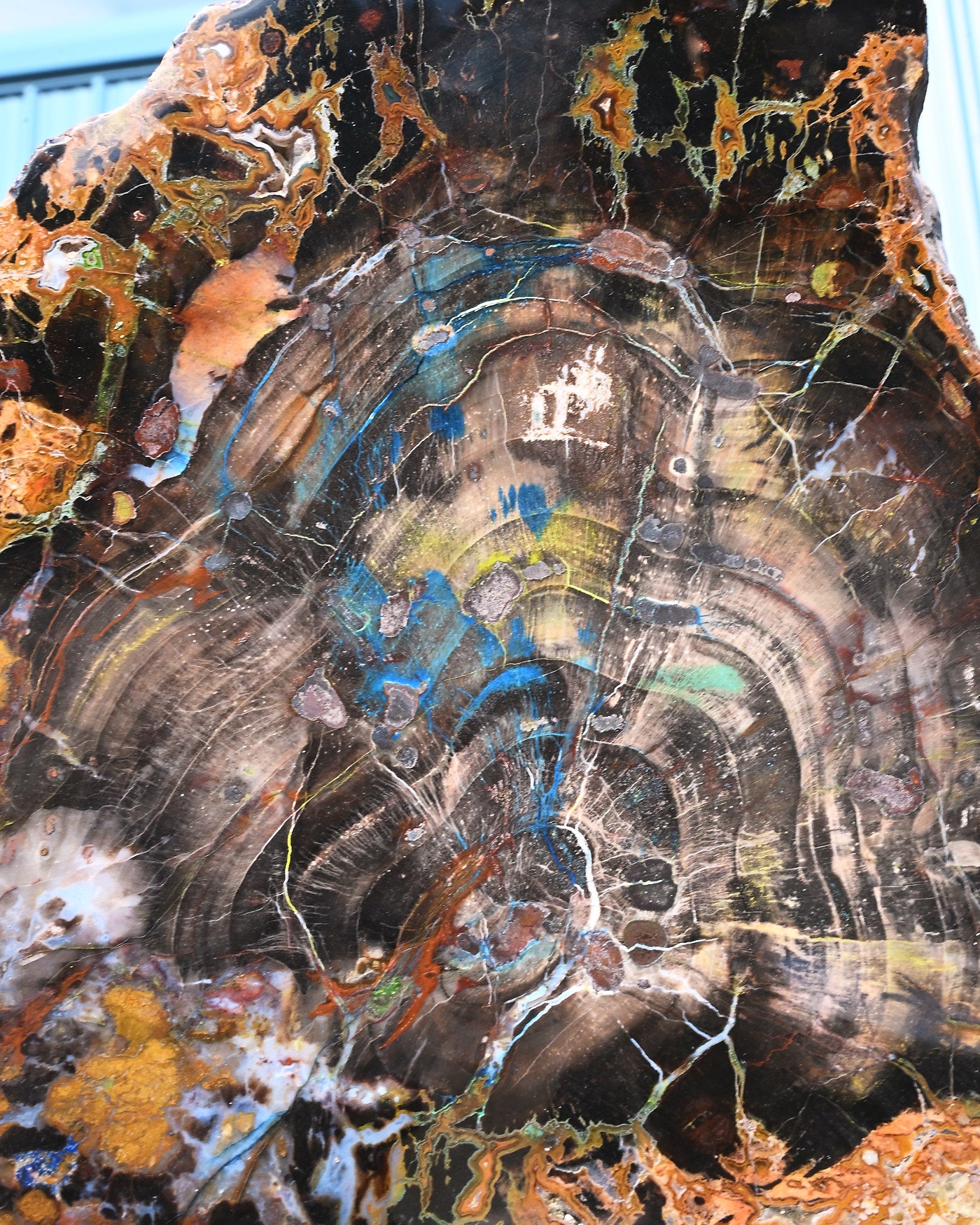 turkish--petfrieidwoodazurite--14x10x1--5.001--7284.jpg