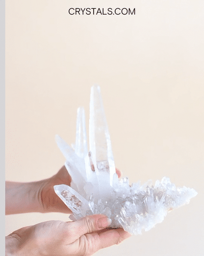 Rare Lemurian  Laser Quartz Cluster 7 inch